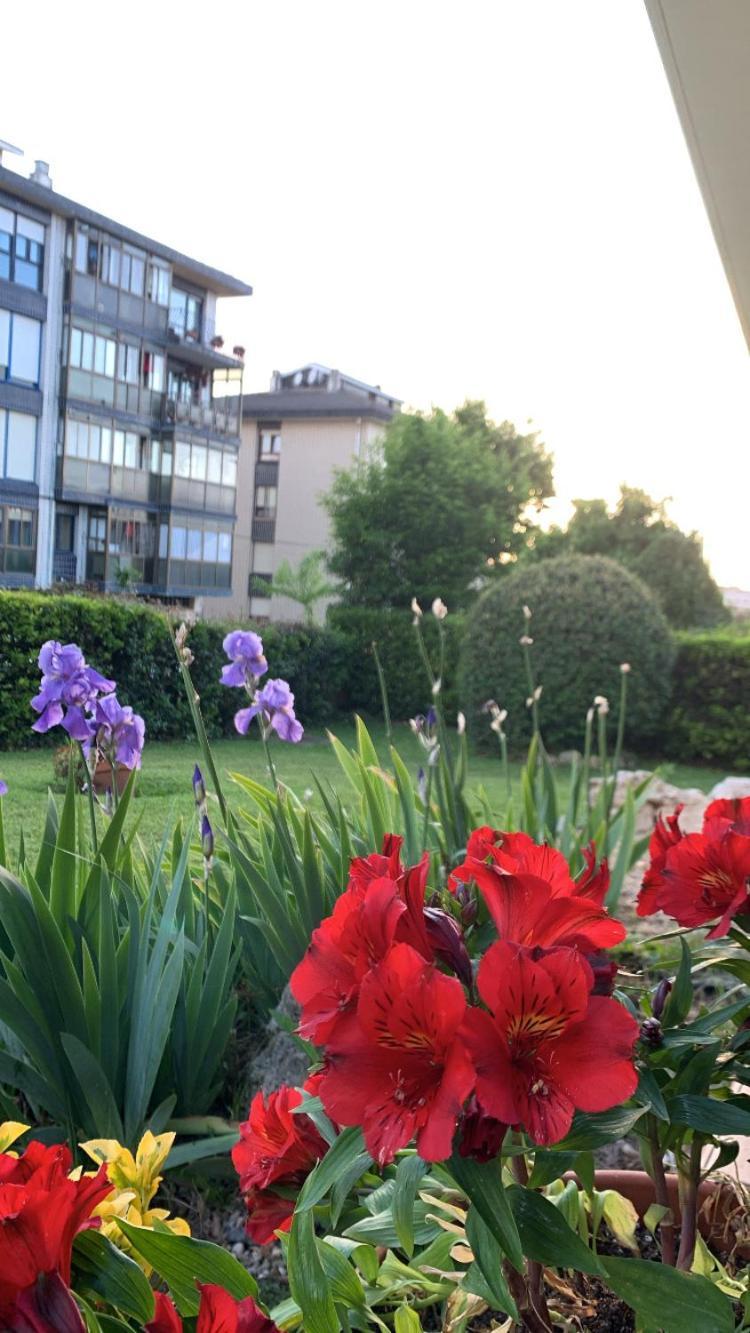 Aloka Rooms Sopela Dış mekan fotoğraf