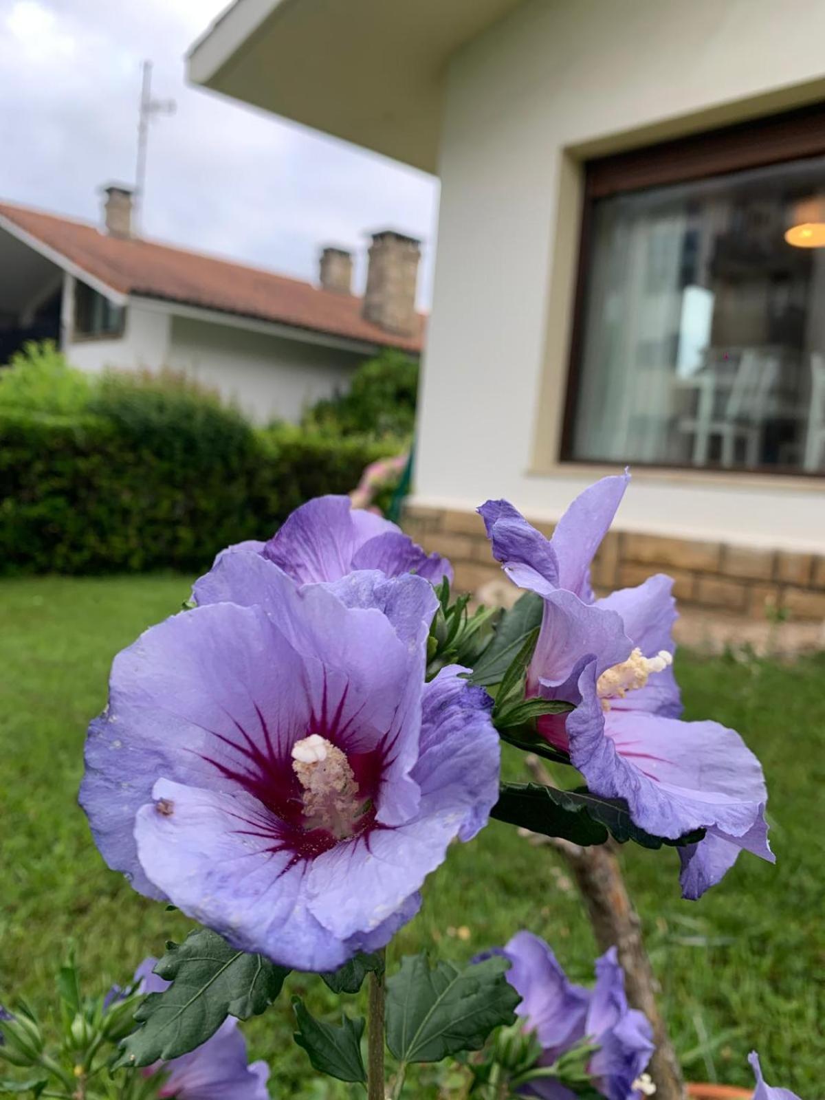 Aloka Rooms Sopela Dış mekan fotoğraf